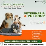 ANUNCIO-VET-PL-DRA-REGINA