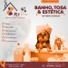 petbru-2