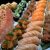 sushi-em-pinheiros-3