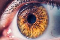 Macro pupil retina human colse eye photo
